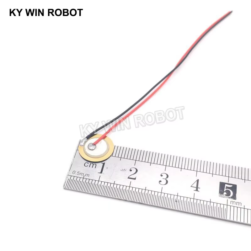 10 قطع من الرقائق السيراميكية  - مراجعة Diy In Electronics وسعره