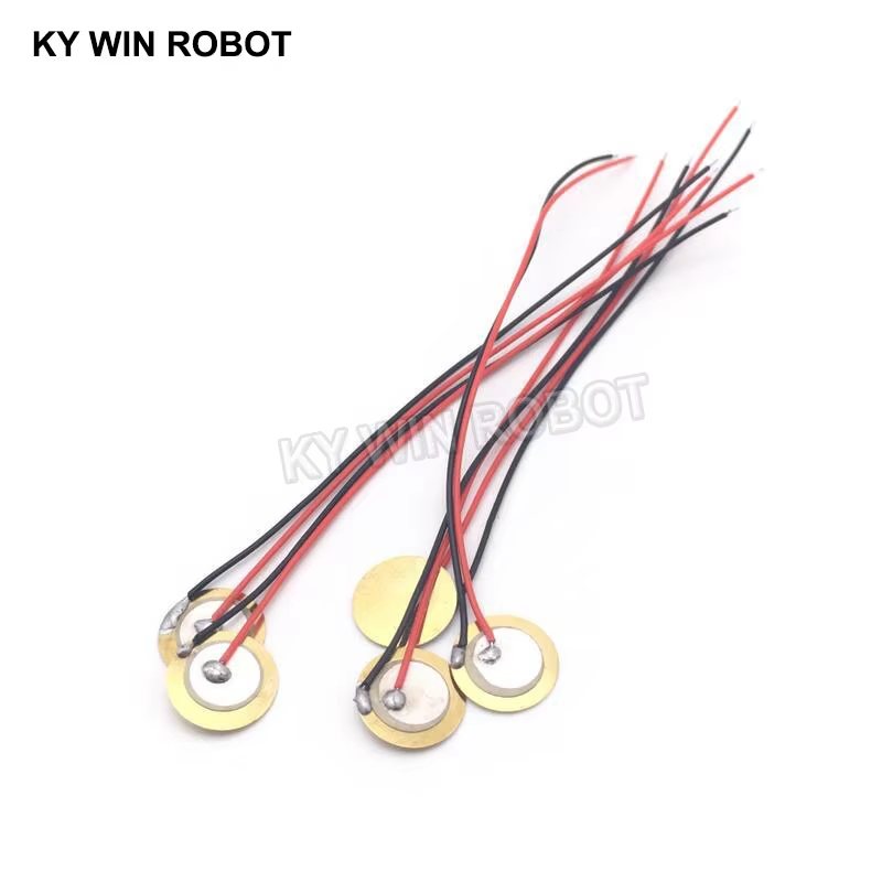 10 قطع من الرقائق السيراميكية  - مراجعة Diy In Electronics وسعره